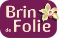 Brin de folie