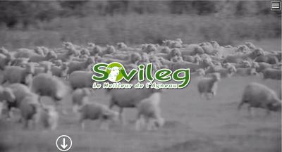 Sovileg Abattoir priv&eacute;, sp&eacute;cialiste de l'agneau
